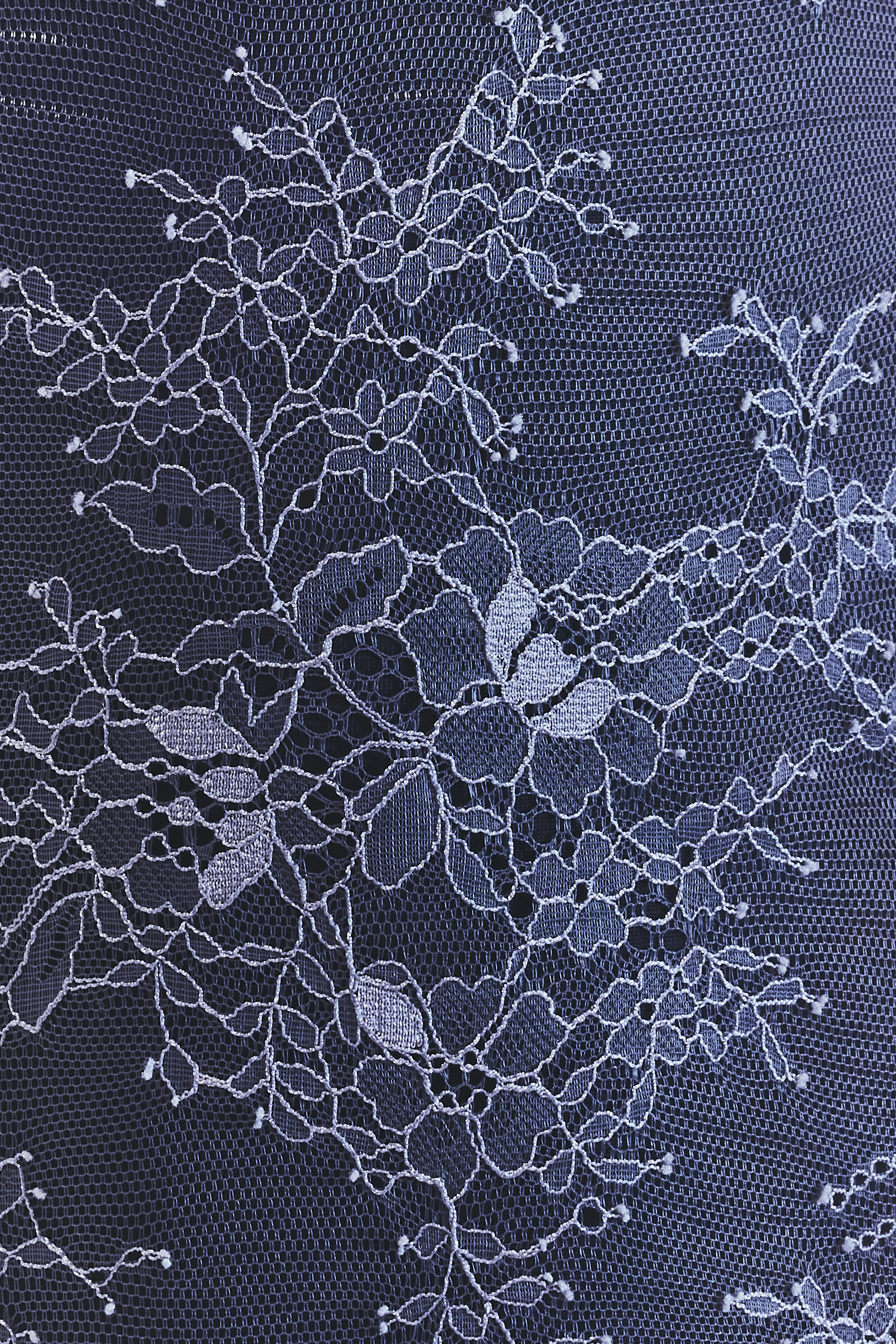 GONNA FRIDA - Image 3